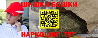 шишки Лесосибирск