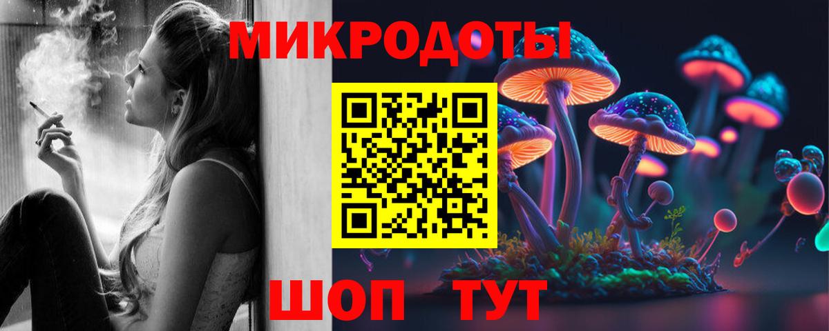 Псилоцибиновые грибы Psilocybe  Вход с VPN  Зима  Галлюциногенные грибы мухоморы 